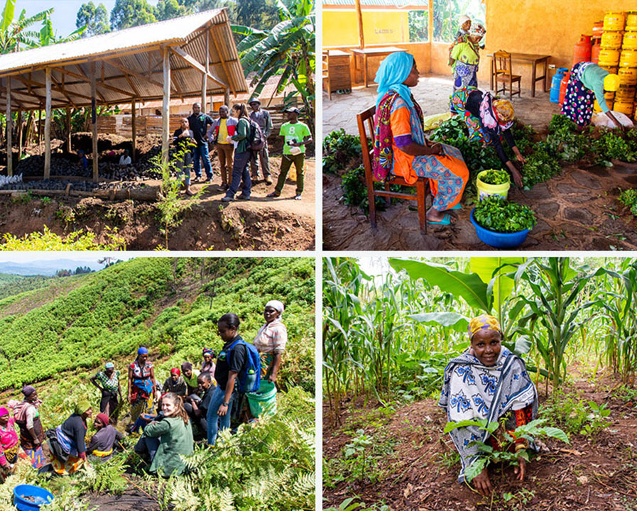 reforestaction_image_2